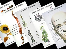 Таблицы по природоведению 1-3 класс (46 штук, формат А2) - fgospostavki.ru - Обнинск
