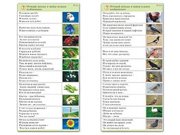 Комплект карточек (10) "Обучающий калейдоскоп. Природа" - fgospostavki.ru - Обнинск