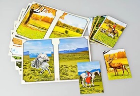 Настольно-печатная игра "Вокруг света" - fgospostavki.ru - Обнинск