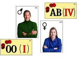 Модель-аппликация "Генетика групп крови" (ламинированная) - fgospostavki.ru - Обнинск