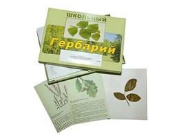 Гербарий "Дикорастущие растения" (30 видов, с иллюстрациями) - fgospostavki.ru - Обнинск