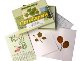 Гербарий "Систематика растений. Семейство Розоцветные" (раздаточный) - fgospostavki.ru - Обнинск