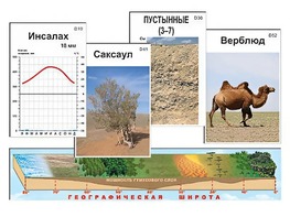 Модель-аппликация "Природные зоны" - fgospostavki.ru - Обнинск