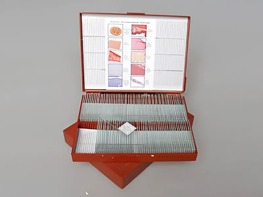 Комплект микропрепаратов "Анатомия" - fgospostavki.ru - Обнинск