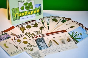 Гербарий к курсу основ общей биологии - fgospostavki.ru - Обнинск