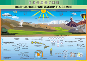Таблица "Возникновение жизни на земле" (100х140 сантиметров, винил) - fgospostavki.ru - Обнинск