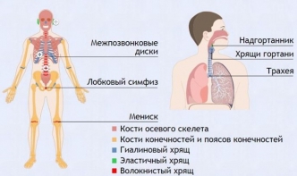 Интерактивные курсы. Биология 9 класс. Базовый. - fgospostavki.ru - Обнинск