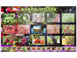Комплект оборудования "Живой уголок" (растения) с тифлопереводом и сурдокомментариями - fgospostavki.ru - Обнинск
