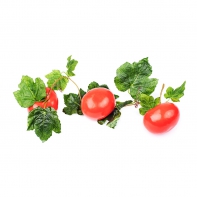 Ветка муляжей "Помидоры" - fgospostavki.ru - Обнинск