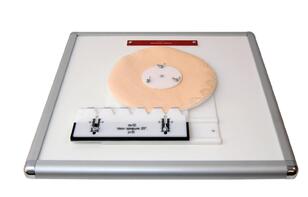 Комплекс "Изучение зубьев" - fgospostavki.ru - Обнинск