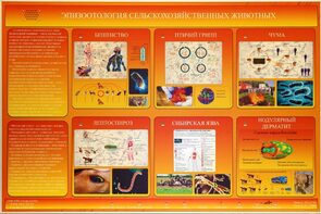 Электрифицированный стенд «Эпизоотология сельскохозяйственных животных» - fgospostavki.ru - Обнинск