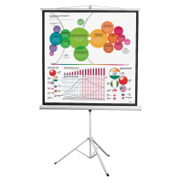 Экран на штативе DSKD-1104 - fgospostavki.ru - Обнинск