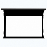 Экран настенный с электроприводом DSTPX-16918 - fgospostavki.ru - Обнинск