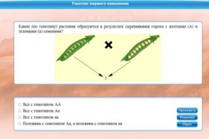 Интерактивные курсы. Биология 11 класс. Базовый. - fgospostavki.ru - Обнинск