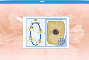Интерактивные курсы. Биология 6 класс. Базовый - fgospostavki.ru - Обнинск