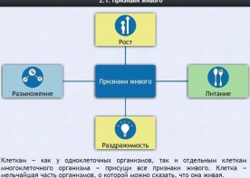 Интерактивные курсы. Биология 5 класс. Базовый - fgospostavki.ru - Обнинск