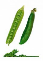 Комплект карточек "Запоминай, играй, считай" - Овощи - fgospostavki.ru - Обнинск