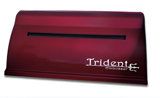 Принтер для печати рельефно-точечным шрифтом Брайля Trident - fgospostavki.ru - Обнинск