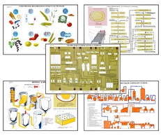 Плакаты ПРОФТЕХ "Сырье и материалы хлебопекарного производства" (20 пл, винил, 70х100) - fgospostavki.ru - Обнинск