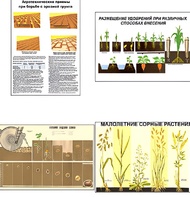 Плакаты ПРОФТЕХ "Агрономия" (5 пл, винил, 70х100) - fgospostavki.ru - Обнинск