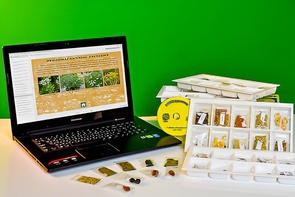 Коллекция натурально-интерактивная "Плоды сельскохозяйственных растений" - fgospostavki.ru - Обнинск