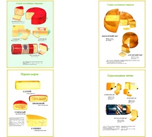 Плакаты ПРОФТЕХ "Ассортимент сыров" (9 пл, винил, 70х100) - fgospostavki.ru - Обнинск