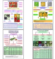 Плакаты ПРОФТЕХ "Классификация овощей" (11 пл, винил, 70х100) - fgospostavki.ru - Обнинск