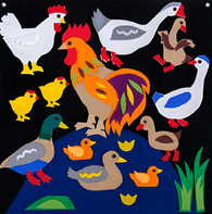 Пособие для слабовидящих детей «Домашние птицы» - fgospostavki.ru - Обнинск