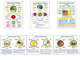 Плакаты ПРОФТЕХ "Плоды" (6 пл, винил, 70х100) - fgospostavki.ru - Обнинск