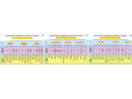 Плакаты ПРОФТЕХ "Ассортимент продовольственных товаров" (3 пл, винил, 70х100) - fgospostavki.ru - Обнинск