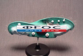 Модель "Инфузория-туфелька" - fgospostavki.ru - Обнинск