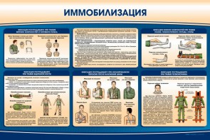 Стенд "Иммобилизация" - fgospostavki.ru - Обнинск
