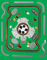 Модель-аппликация "Строение клетки" (набор из 54 пластмассовых фигур) - fgospostavki.ru - Обнинск