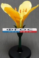 Модель "Цветок капусты" - fgospostavki.ru - Обнинск