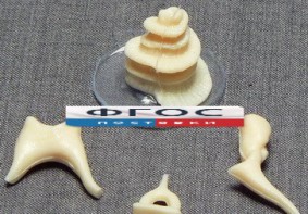 Модель "Косточки слуховые" - fgospostavki.ru - Обнинск