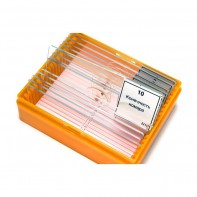 Набор готовых микропрепаратов (зоология) - fgospostavki.ru - Обнинск