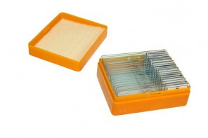 Набор готовых микропрепаратов (биология и физиология) - fgospostavki.ru - Обнинск