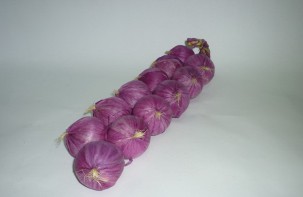 Муляжи "Связка лука" - fgospostavki.ru - Обнинск