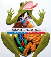 Модель барельефная "Внутреннее строение лягушки" - fgospostavki.ru - Обнинск