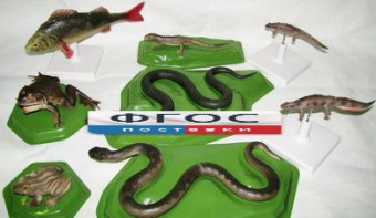 Комплект моделей "Позвоночные животные" (8 штук) - fgospostavki.ru - Обнинск