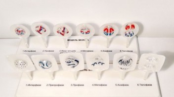 Модель "Митоз и мейоз клетки" - fgospostavki.ru - Обнинск