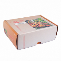 Набор муляжей грибов съедобных и ядовитых - fgospostavki.ru - Обнинск