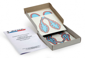 Модель-аппликация "Развитие легких позвоночных животных" (набор из 5 карт) - fgospostavki.ru - Обнинск