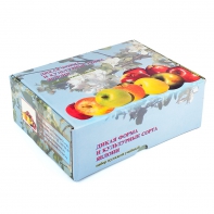 Набор муляжей "Дикая форма и культурные сорта яблок" - fgospostavki.ru - Обнинск