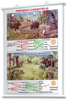 Плакаты по географии России для оформления кабинета. - fgospostavki.ru - Обнинск