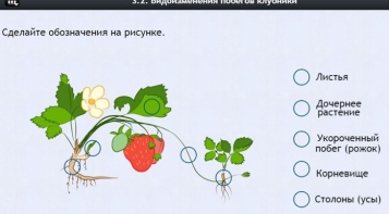 Интерактивные курсы. Биология 7 класс. Расширенный. - fgospostavki.ru - Обнинск