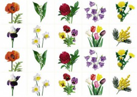 Комплект карточек "Запоминай, играй, считай" - Цветы - fgospostavki.ru - Обнинск