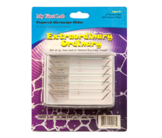 Набор микропрепаратов для микроскопа №3 «Необычное в обычном» - fgospostavki.ru - Обнинск