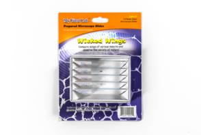 Набор микропрепаратов для микроскопа №5 «Насекомые» - fgospostavki.ru - Обнинск