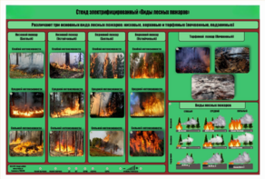 Стенд-планшет электрифицированный «Виды лесных пожаров»  - fgospostavki.ru - Обнинск